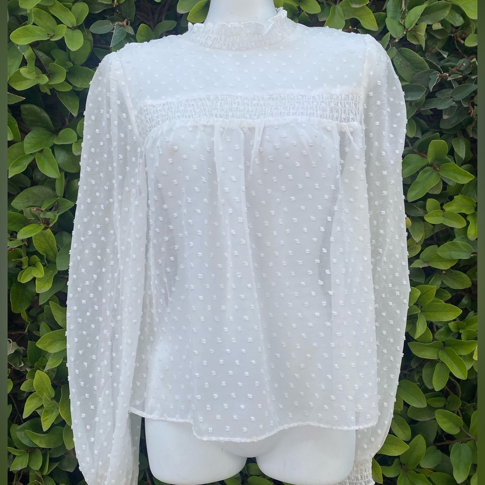 NWT sheer high neck, smocked front, long balloon sleeve white swiss dot top
